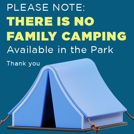Salthill No family camping